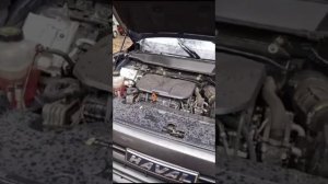 Толосол и антикриз? перепутал жидкости на китайце haval #приколы #china #авто
