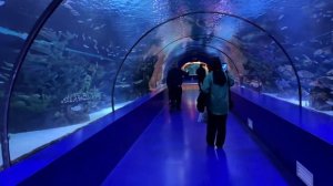 ?Океанариум в Анталии????2023 #океанариум #анталия2023#turkey2023