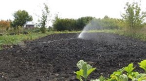 ИМПУЛЬСНЫЙ ДОЖДЕВАТЕЛЬ ДЛЯ ПОЛИВА