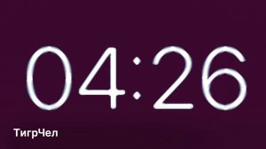 Обратный отсчёт до НГ - 2024 Новый год с  ТигрЧел!