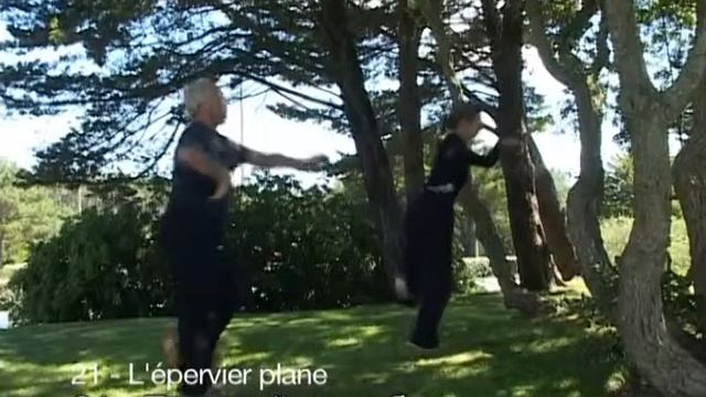 У-Дан цигун из книги В.Заложнова "Жемчежены цигун" смотреть онлайн