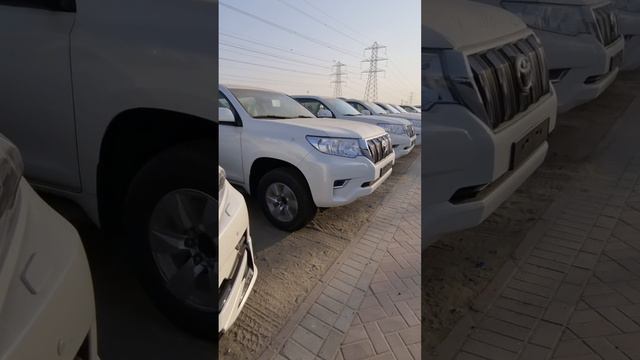 Пастбище Toyota Prado