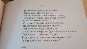 Тютчев "На древе человечества высоком..."