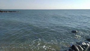 Корабли - то без моря грустно вам, то без земли (27.09.2023)