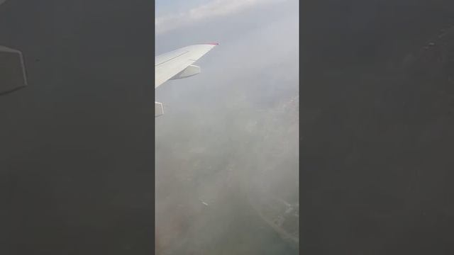 Аэропорт Ташкенте осмондан куриниши 2022 Аэропорт сочи смотреть онлайн