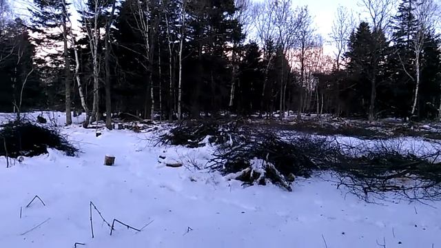 Дальневосточный Гектар: Этап 3.. Начало освоения.