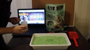 Наполнитель Cat Step Tofu Green Tea (соевый)