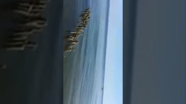 Светлогорск (11 мая 2018) Море смотреть онлайн