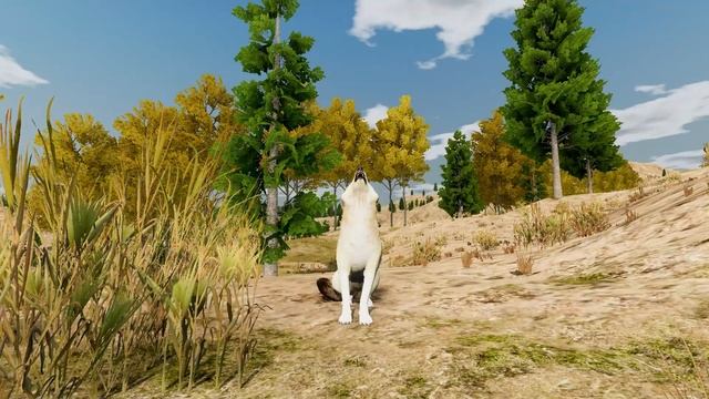 Original Tawny Coat Howling with Primary and Secondary Howls # 01 WolfQuest Anniversary Edition смотреть онлайн