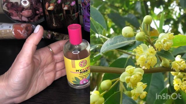 Распаковка Ив Роше смотреть онлайн