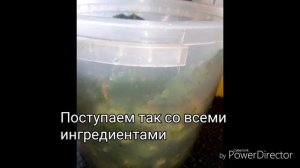 Маринованные зеленые помидоры