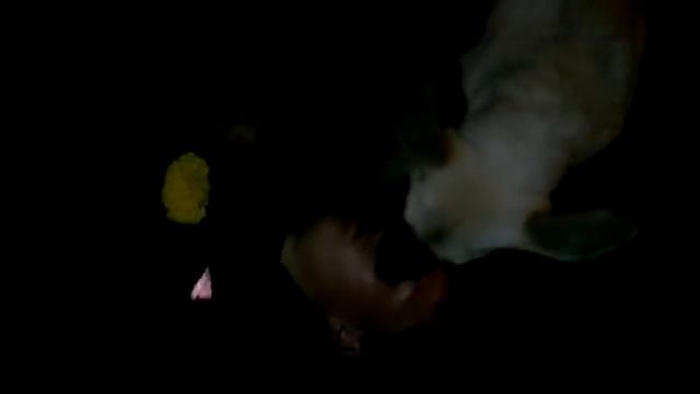 панин с собакой без ретуши смотреть онлайн