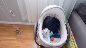 Американская квартира. Обзор нашей квартиры в Нью Йорке