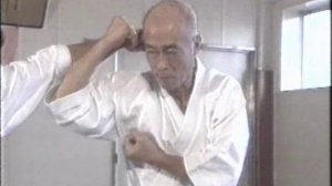 Суть Вадо рю Каратэ Ч.2