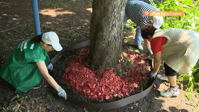 Чем закончился фестиваль «Зелёный партер» смотреть онлайн