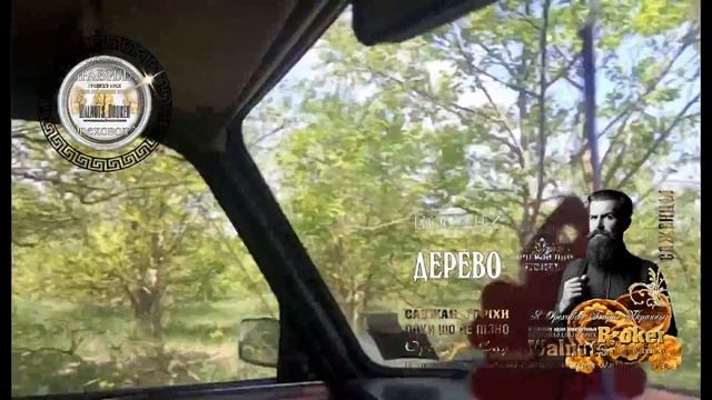 Маточный сад орехов Кочерженко 2018г.  Walnuts Broker