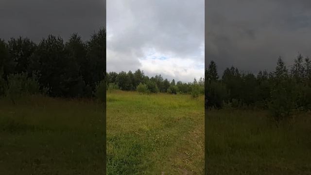 Продается земельный участок 7.4 сотки в пос. Светлый, рядом с гор. Александров Александровский райо