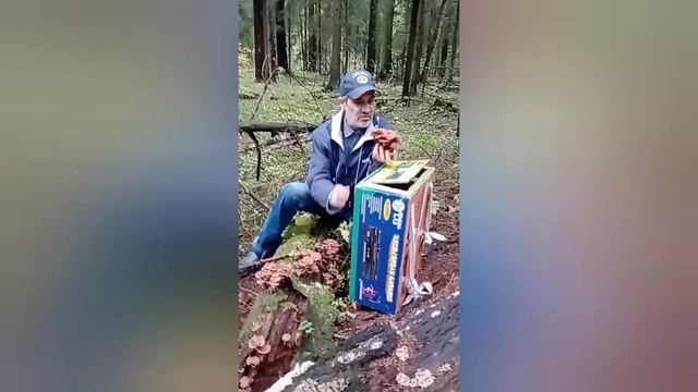 Опята в Подмосковье, конец сентября 2021 смотреть онлайн