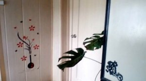 Оформление угла в прихожей.