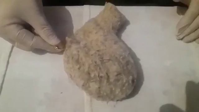 Гнездо летучих мышей смотреть онлайн