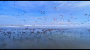 Уходя оставьте свет