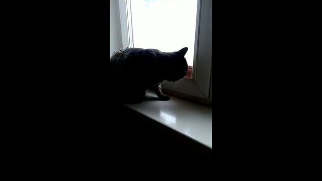 Я тебе конечно верю смотреть онлайн