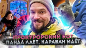 Форум Россия на ВДНХ | Квартира Гарри Поттера в Москве | Кобыла Сметана сбежала