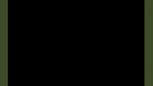 2mosq-mp4-1