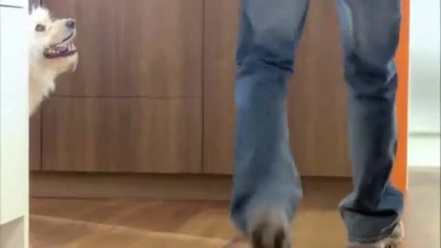 Форема-кухни - ЭТО ТАК ПРОСТО смотреть онлайн