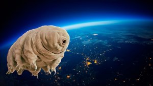 ДНК мутанты из Китая, И новый Вирус Пирола пришё в Россию