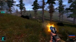 S.T.A.L.K.E.R. Тень Чернобыля. Принести артефакт медуза. Уничтожить логово кабанов.