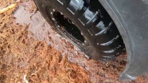 СТРАШНАЯ ТАЙНА ЛЕНИНГРАДСКИХ БОЛОТ