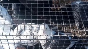 Сельские голуби. 16 05 2021 г. Часть первая ярмарка город Ипатово, голуби в дар начинающим.