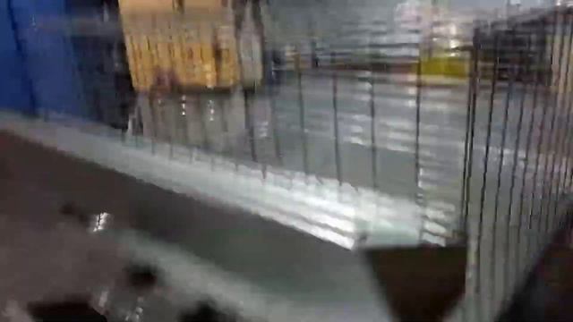 Мини клетка для перепелов двойного назначения смотреть онлайн