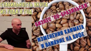 Кофе стабильность вкуса, особенности производства, изменения климата и бизнес по-бразильски .