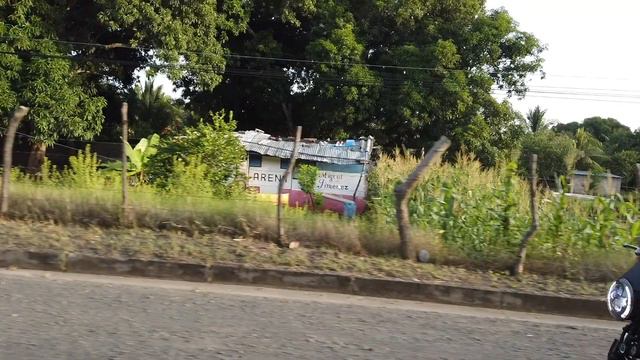 PETUNIA IS BACK / YAMAHA FZ06 смотреть онлайн