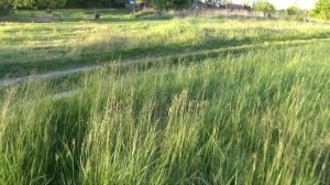Мощный лук из пластиковой трубы, стрелы из арматуры