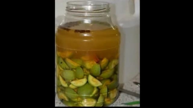 тодикамп goricvet смотреть онлайн