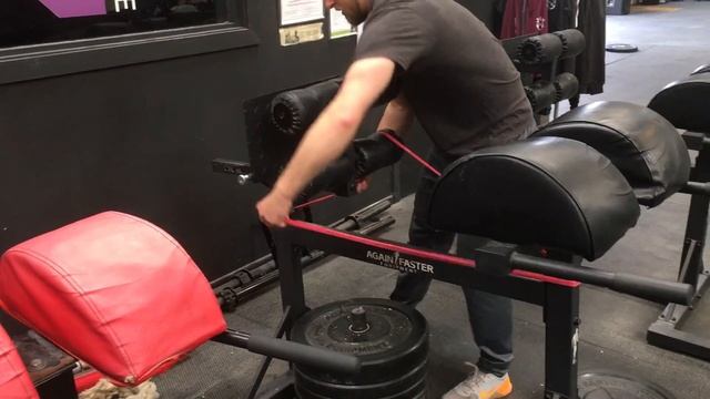 Reverse Hyperextension (on GHD) Demo смотреть онлайн