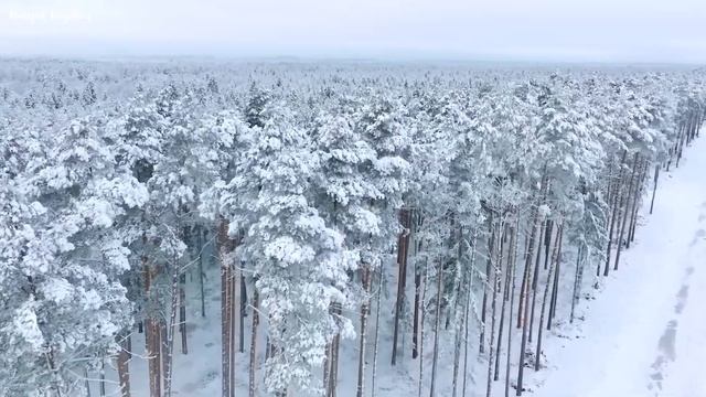 Музыка лечит сердце и сосуды? Успокаивающая музыка восстанавливает нервную систему,расслабляющая смотреть онлайн