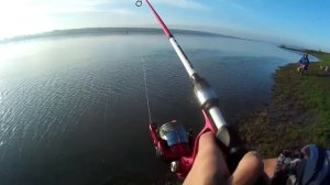 Окунь на отводной поводок, РАННЕЙ ВЕСНОЙ р.Томь (какую проводку применить???) Выбор места.