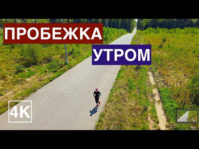 ПРОБЕЖКА ПО ЛЕСУ смотреть онлайн