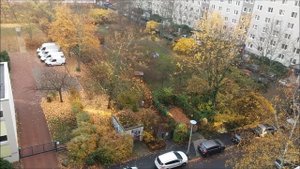 Весёлые анекдоты про осень