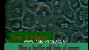 Раковая клетка, чего она боится. Щелочная вода