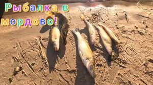 Отдых и рыбалка в мордово