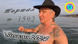 #Абхазия2024 ? 1 марта❗Выпуск №1592❗ Погода от Серого Волка?вчера +16°?ночью +6°?море +11,3°