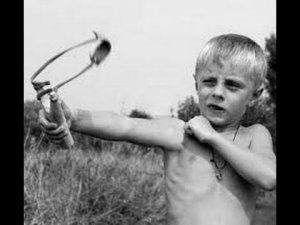 Пристрелка арбалета для охоты  Особенности стрельбы с вышки