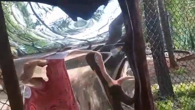 Кривые зеркала!!! смотреть онлайн