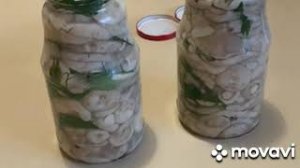 ‼️СОЛЕНИЕ ГРУЗДЕЙ ХОЛОДНЫМ СПОСОБОМ НА ЗИМУ?❗РЕЦЕПТ ОТ ОЛЬГИ?‼️