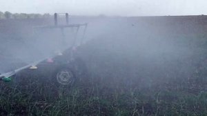 Чеснок требует влагу. Полив поля с чесноком?.